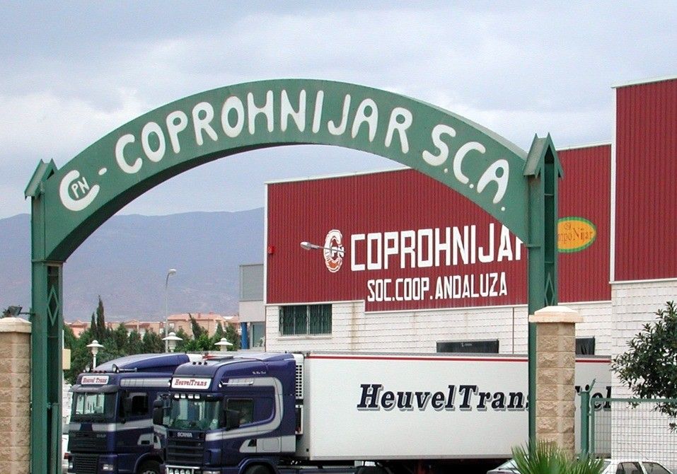 Coprohníjar crece en comercialización de calabacín, sobre todo en ecológico