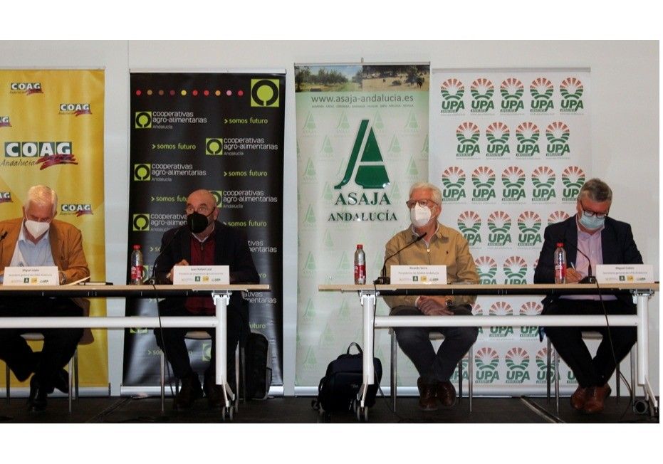 El sector agrario andaluz inicia período indefinido de movilizaciones en contra de la convergencia brusca de la PAC