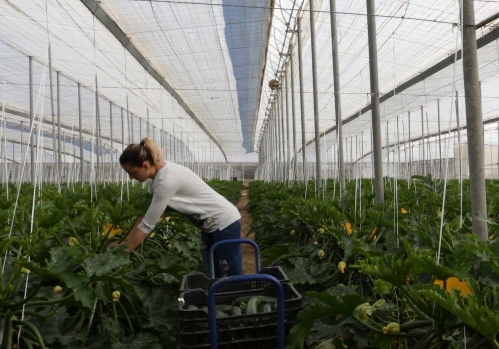 El Ministerio de Agricultura convoca subvenciones a entidades de mujeres rurales de ámbito nacional