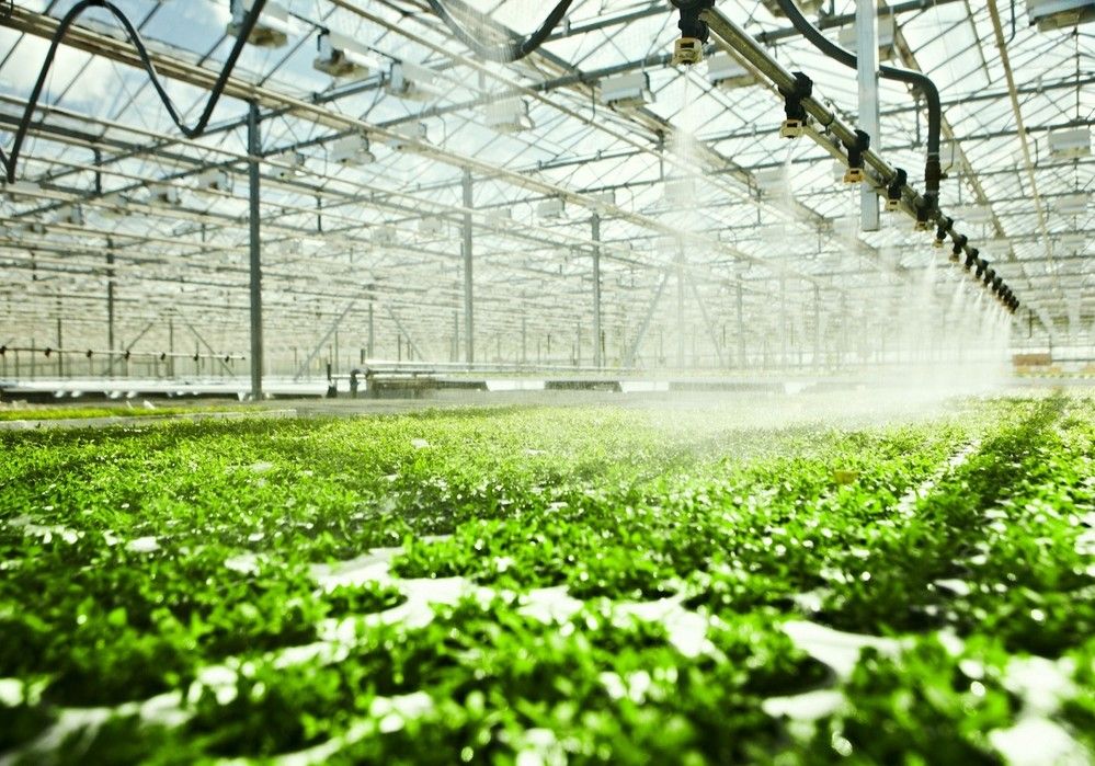 La Junta apuesta por fuentes alternativas para mejorar el uso del agua en la agricultura andaluza