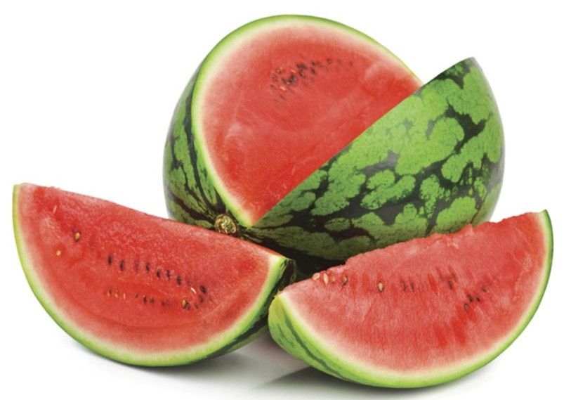 Import-Export Fruva augura buenas expectativas de producción y venta en su campaña de sandía
