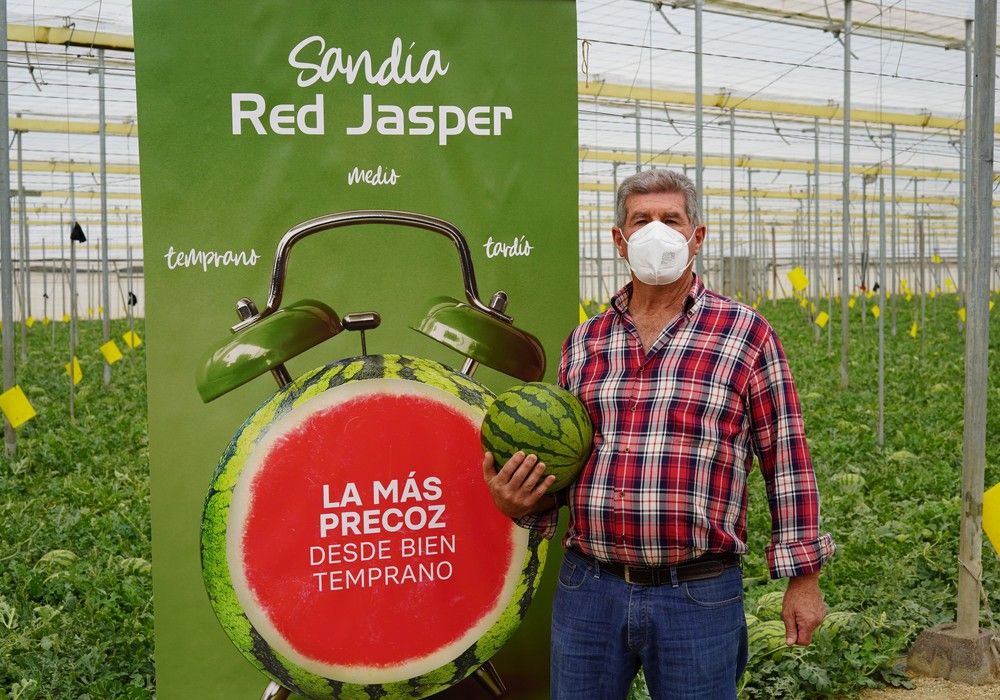 Red Jasper se posiciona ya como la sandía blanca sin semillas para todos los ciclos