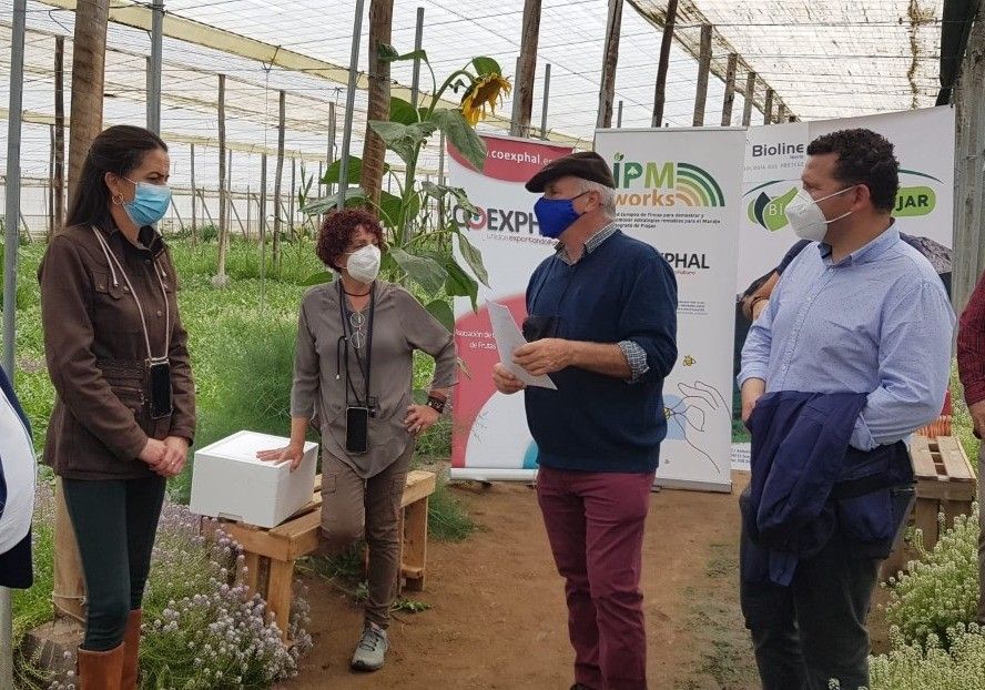 Agricultura pone en marcha un proyecto de gestión integrada de plagas en fincas demostrativas para los agricultores