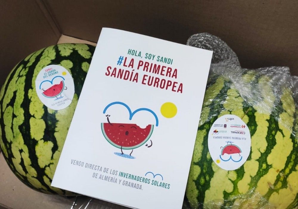 Sandi vuelve esta primavera como “el primer sabor del verano”