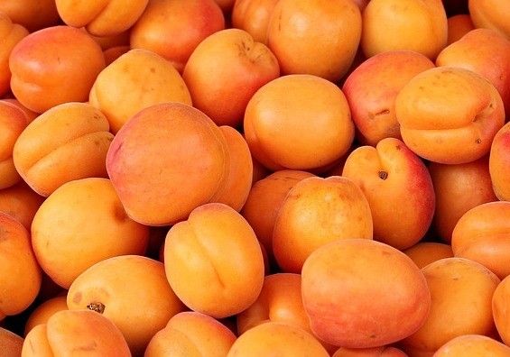 ASAJA pide agilizar la vacunación contra el COVID-19 para el sector agrario