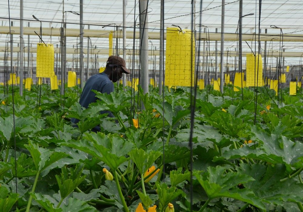 ASAJA destaca el descenso del 9% en la siniestralidad en el sector agrario durante 2020