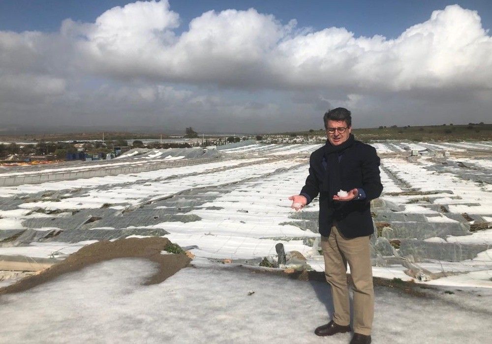 Matarí afirma que el Gobierno de Sánchez desprecia a los agricultores con una rebaja fiscal “injusta e insuficiente”