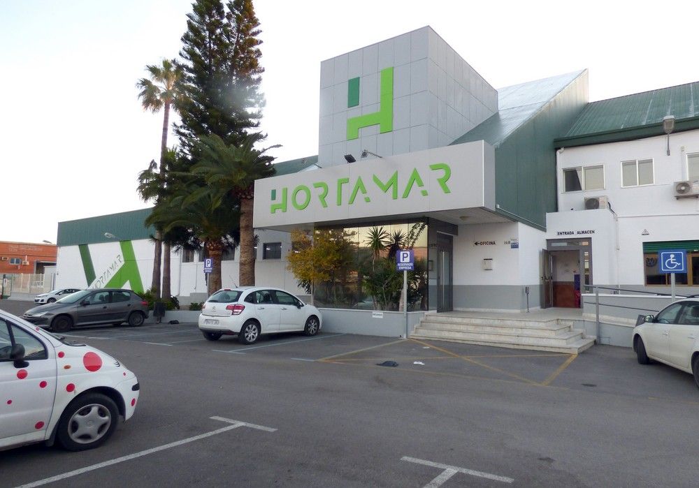 Hortamar busca superar los 12 millones de kilos de sandías comercializados en la campaña 2021