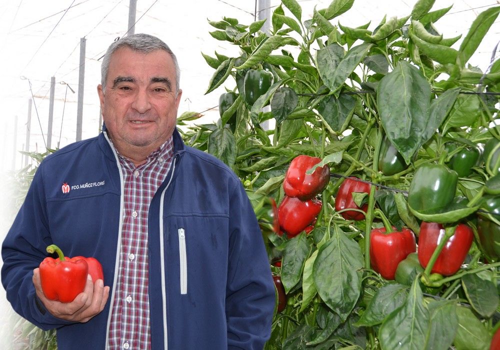 “Quiero frutos tempranos y comerciales y Claque RZ me los garantiza”