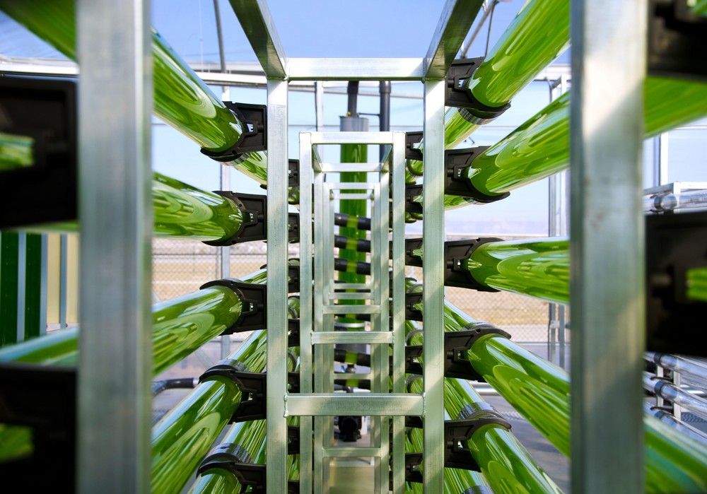 AlgaEnergy se convierte en la primera empresa B Corp de su sector a nivel mundial