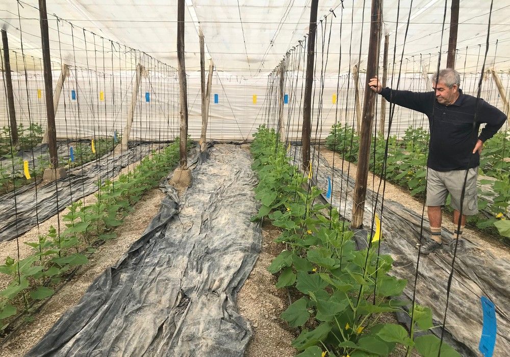“El futuro pasa por unos invernaderos con mayor contenido de carbono orgánico”