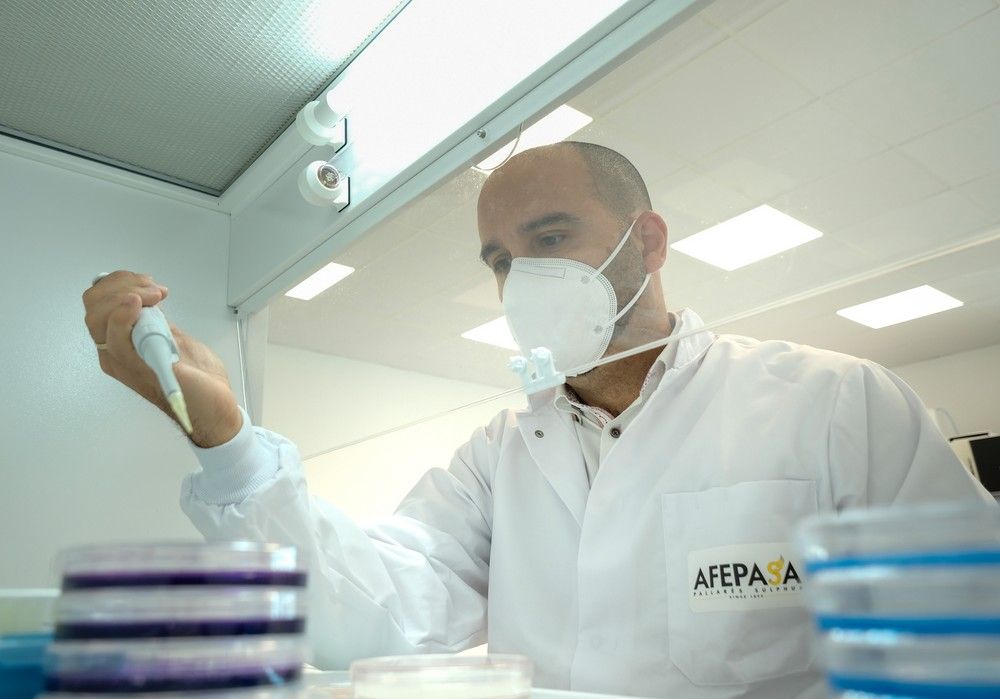 El compromiso con la innovación como factor clave para la mejora sostenible de nuestra agricultura