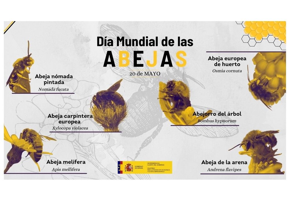 El MITECO ultima un nuevo sistema de seguimiento de polinizadores en España