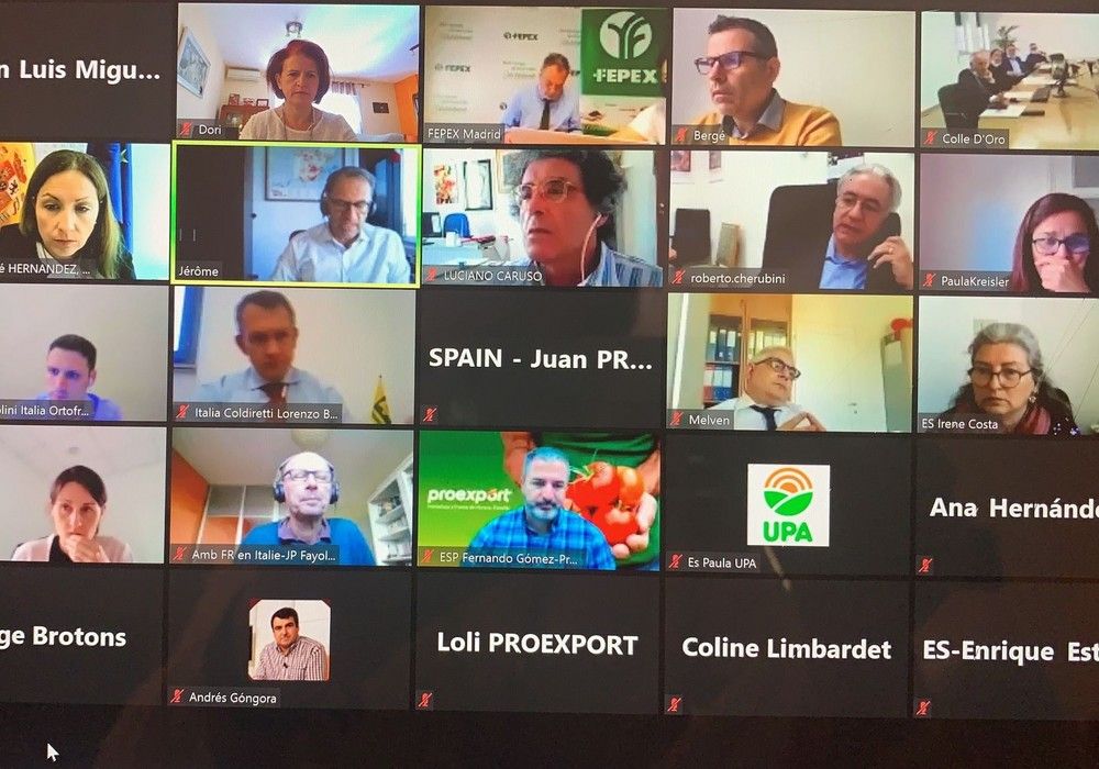 ASAJA exige el compromiso de Europa para evitar la desaparición del tomate