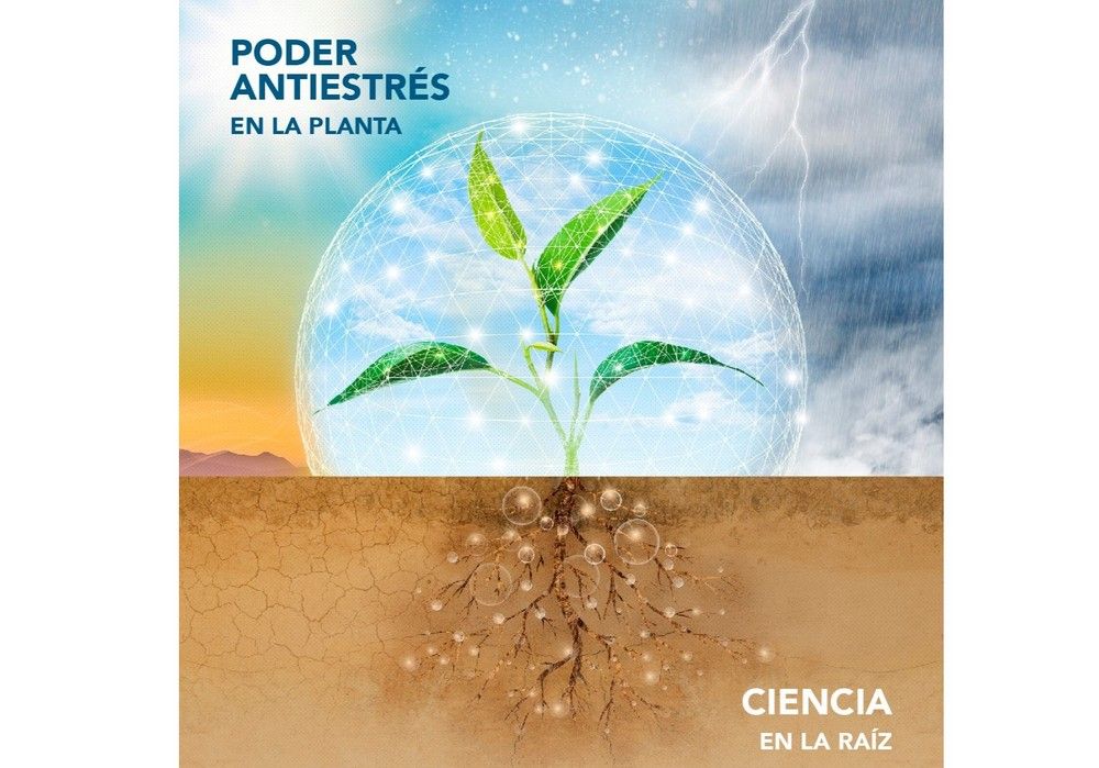 FMC lanza el bioestimulante Seamac® Rhizo: ciencia en la raíz, poder antiestrés en la planta