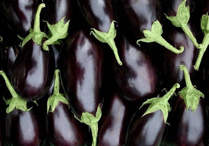 La semana 20 del año no mejora y registra un nuevo descenso de precio en calabacín, berenjena y pepino