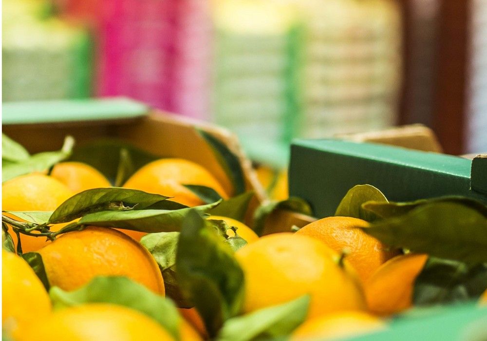 Una materia prima excepcional y grandes profesionales del producto fresco, protagonistas del stand de Mercamadrid en Madrid Fusión