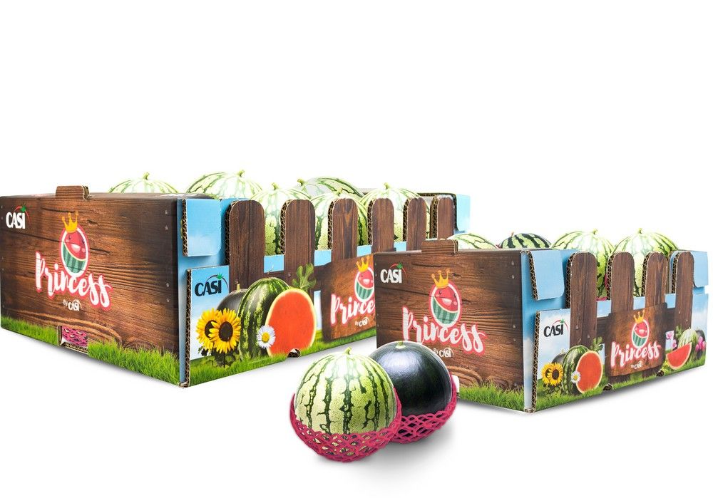 CASI desarrolla su campaña de sandía y melón consolidando su apuesta hasta septiembre