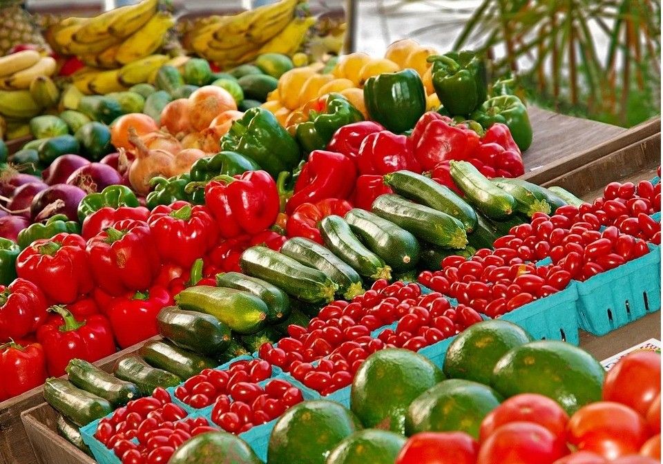 El Gobierno agiliza la certificación fitosanitaria para la exportación de vegetales