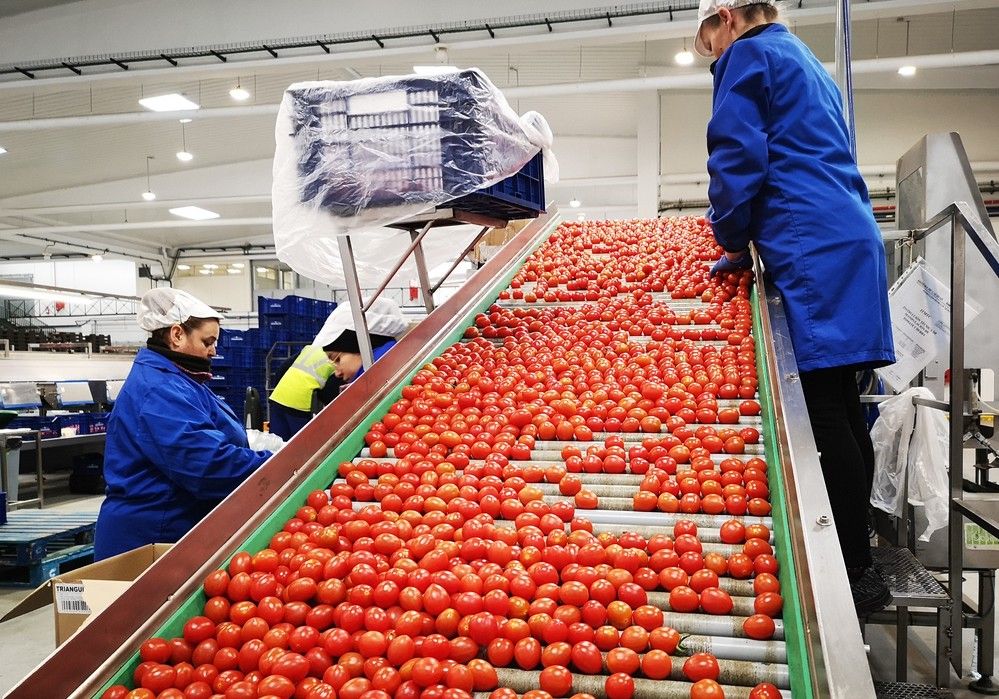 Coprohníjar sigue apostando por el ecológico que alcanza ya el 35% de su producción