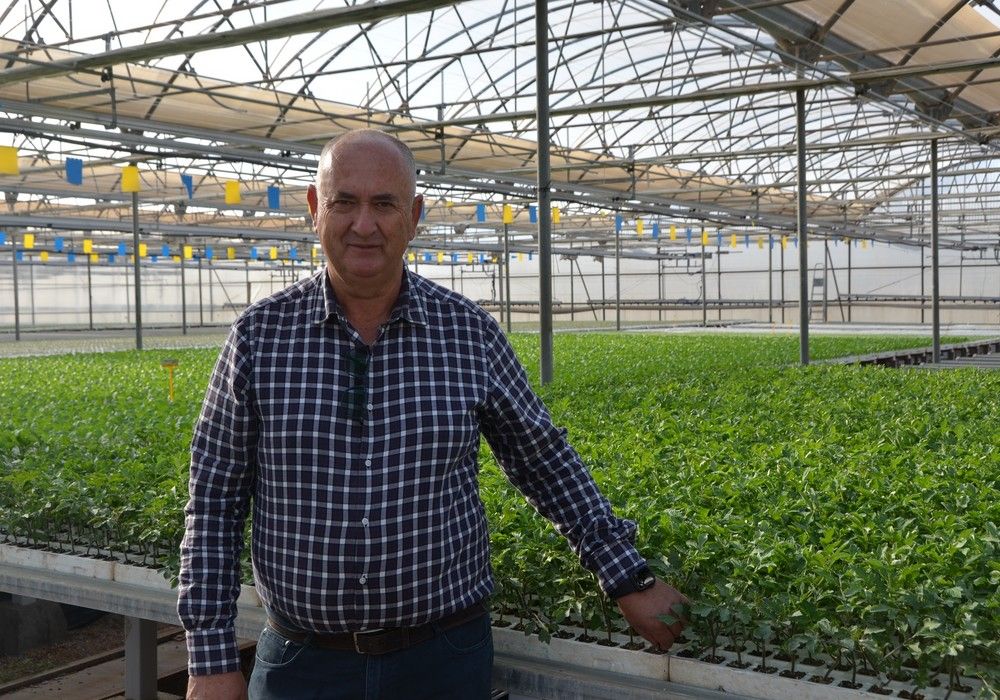 Campoejido ofrece plántulas sanas e injerto profesional para la nueva campaña