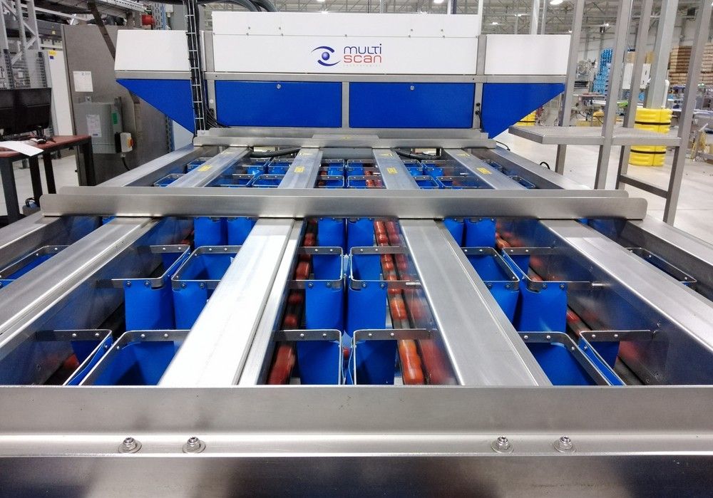 Multiscan Technologies lanza al mercado nuevas mejoras y funcionalidades en su gama de soluciones para la selección de tomate y tomate cherry