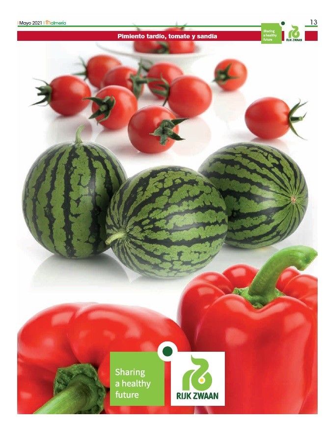 Mayo 2021 || Especial pimiento tardío, tomate y sandía de Rijk Zwaan