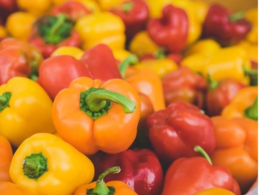 El pimiento italiano sube 20 céntimos de media respecto a la semana pasada