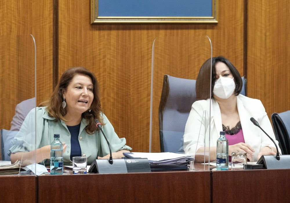 Andalucía defiende que el productor ecológico se considere ‘per se’ agricultor genuino en la nueva PAC