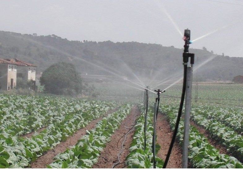 FENACORE pide al Ministerio para Transición Ecológica que asuma inversiones en modernización de regadíos y no las delegue