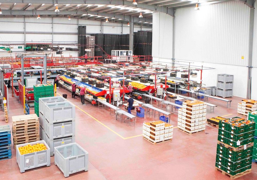 Cooperativas Agro-alimentarias de Andalucía valora positivamente el fin de las negociaciones para la futura PAC
