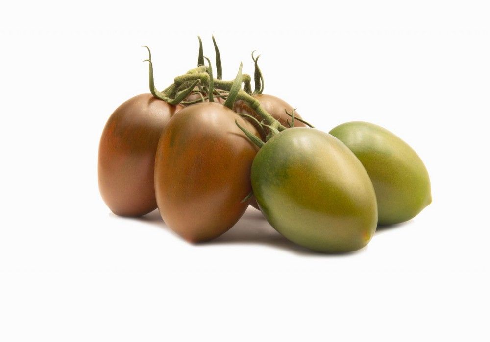 TOMACHOC®, la gama de tomates chocolate de Top Seeds International