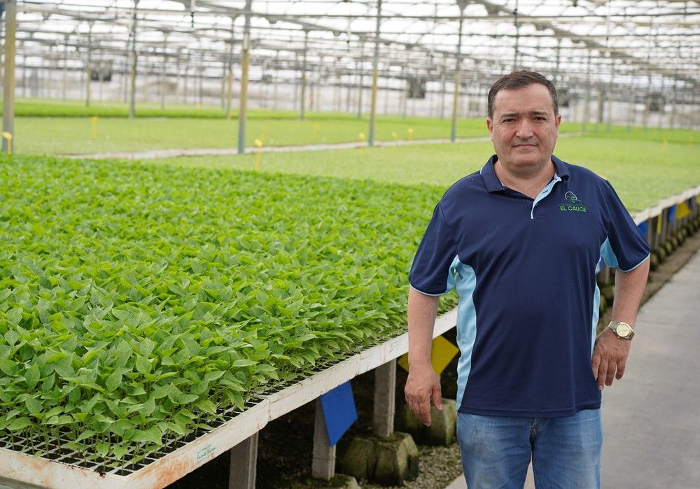 Semilleros El Cauce, tres décadas  al servicio del agricultor