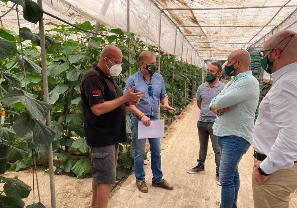 VOX exige a la Junta de Andalucía que actúe “de forma urgente” frente a la llegada de productos agrícolas de Marruecos