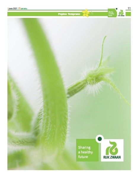 Junio 2021 || Especial de pepino temprano de Rijk Zwaan
