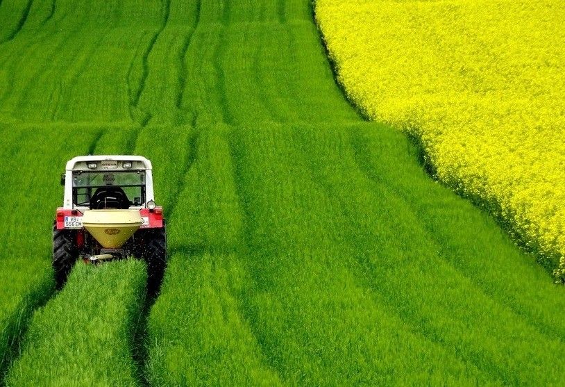 La explotación agraria media en España se acerca a a las 50 hectáreas