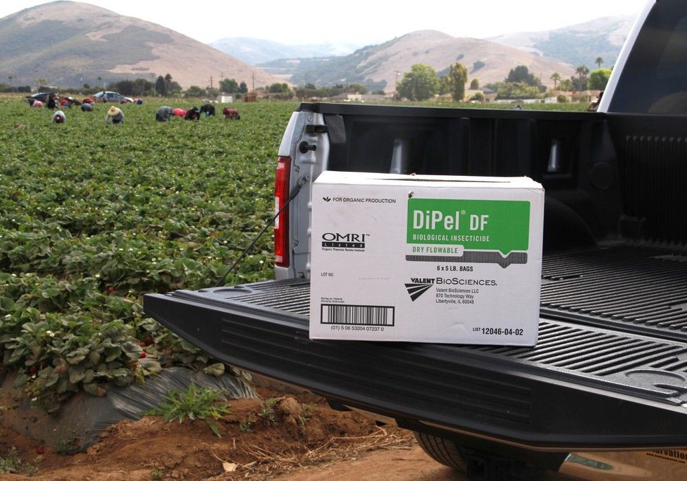 Kenogard y Valent Biosciences celebran el  50 aniversario del insecticida biológico DiPel®