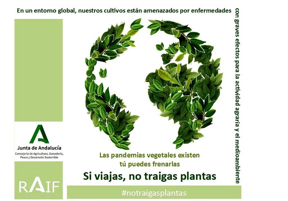 La Junta pide colaboración a los andaluces para evitar plagas perjudiciales para el campo