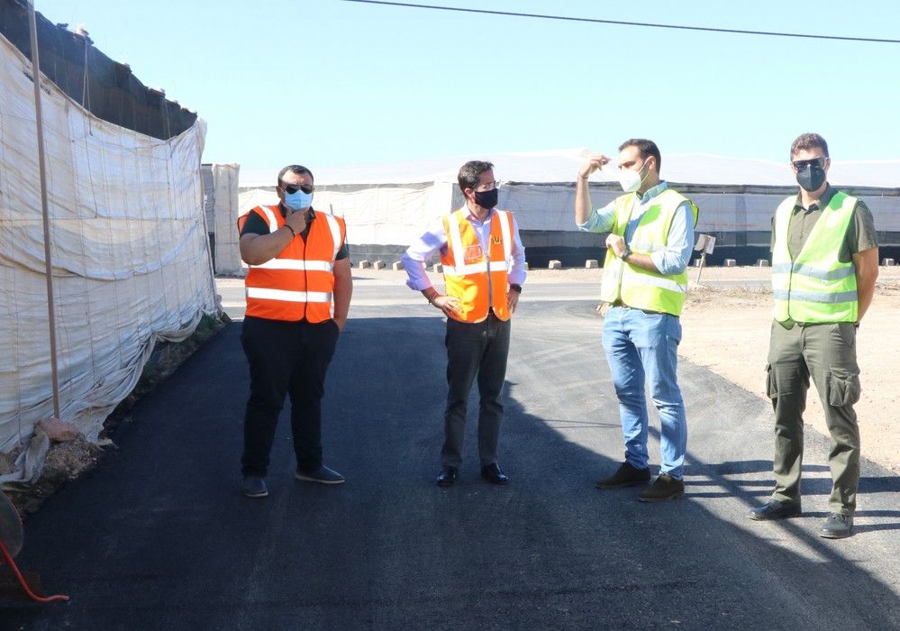 El Ejido continúa liderando la provincia con más de 13.000 hectáreas invernadas