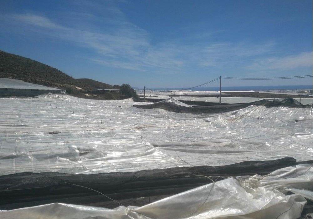 Los agricultores de El Ejido afectados por los tornados de enero de 2018 se beneficiarán de las ayudas que la Junta ha logrado desbloquear