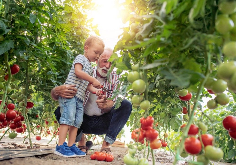 Agroponiente inicia una nueva campaña en la que la atención al agricultor se verá redoblada de diferentes maneras