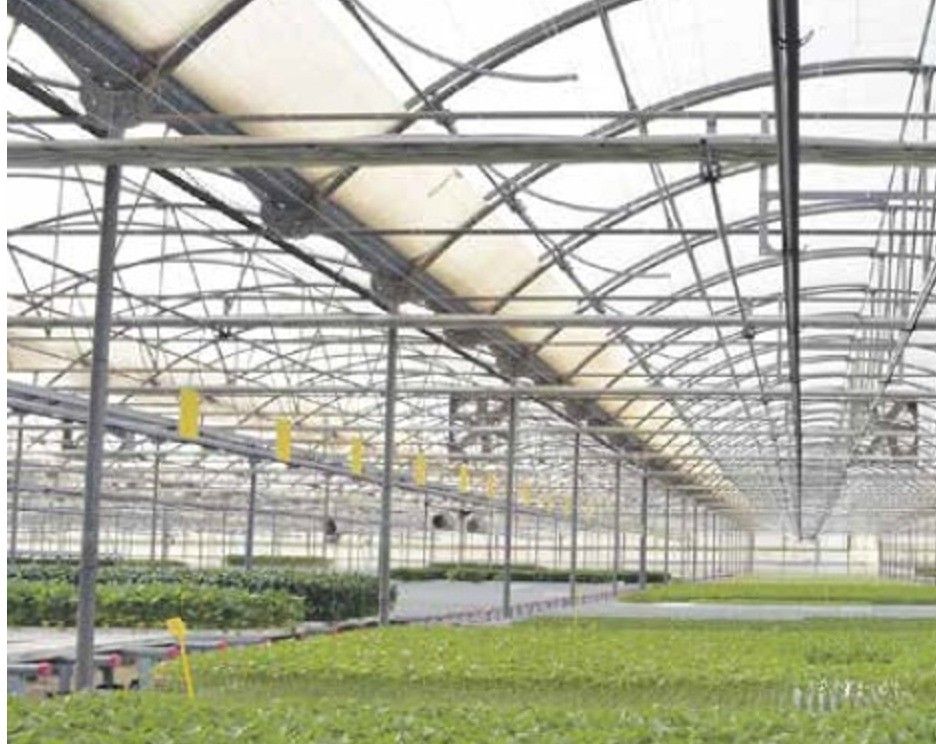 Gama Agroclima de Naturplás, la apuesta segura para tu cubierta de invernadero