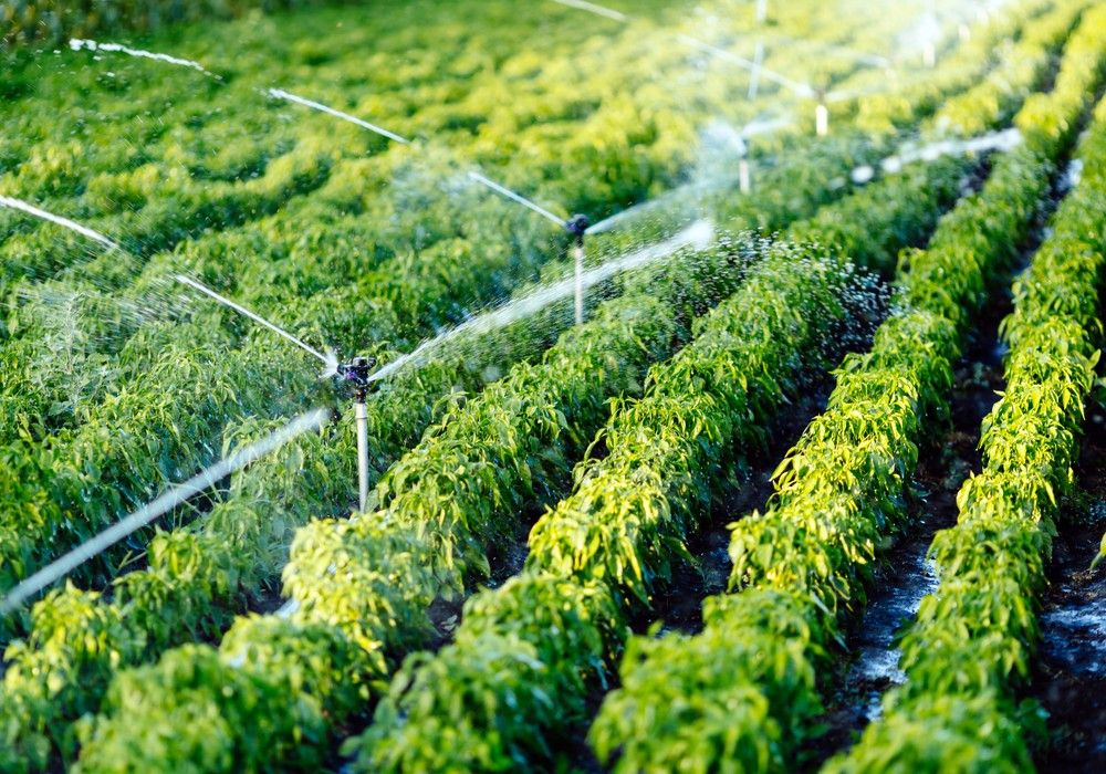 Spring ayuda en la mejora del uso de los recursos de agua dulce en las granjas