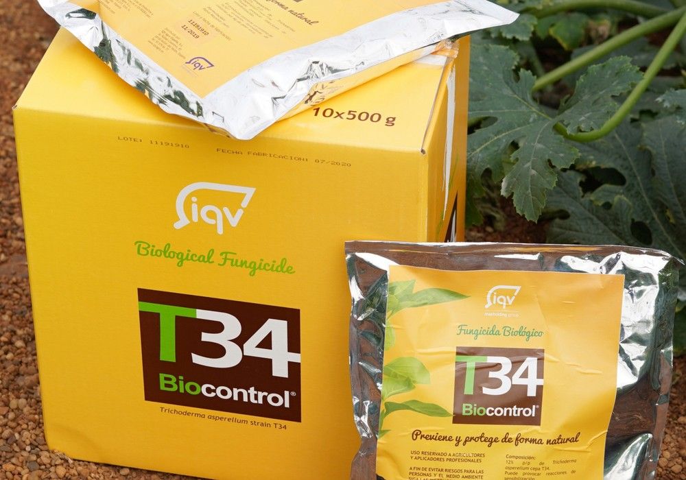 Los biológicos de IQV son una garantía para el control de plagas y enfermedades sin residuos
