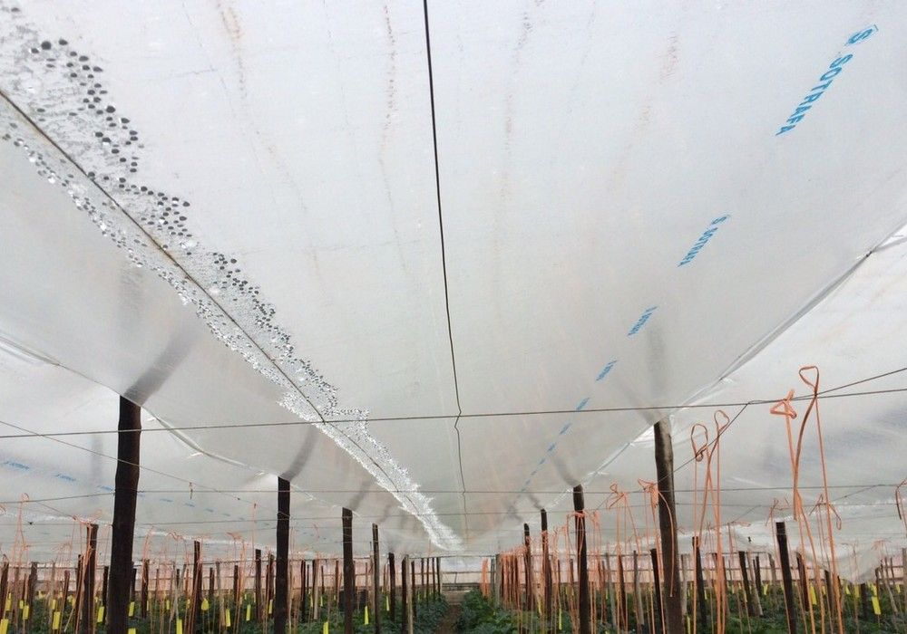 Dobles cámaras de Sotrafa, el complemento perfecto al TRC5 Premium