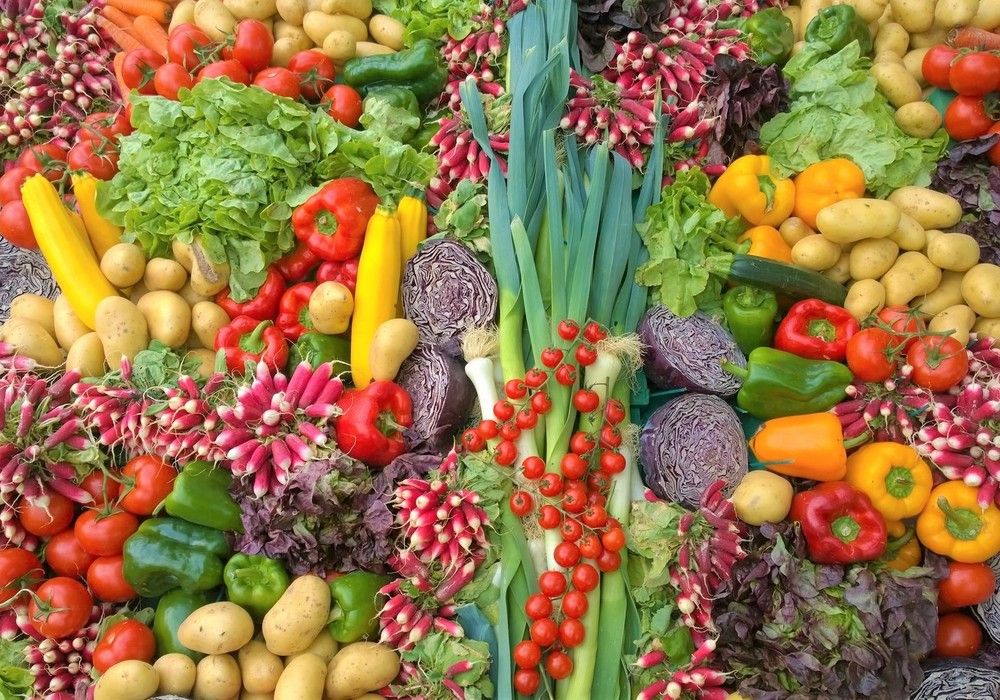 Almería mantiene su liderazgo agroalimentario con un 28% de las exportaciones andaluzas