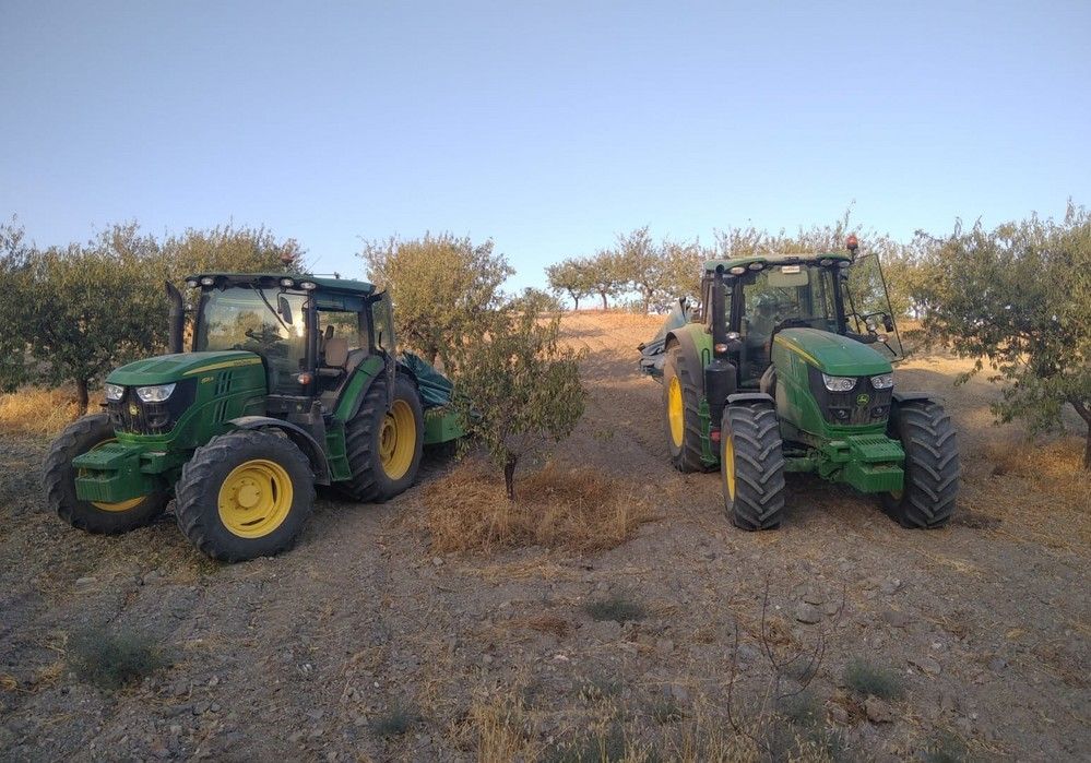 La cosecha de almendra en Almería cae un 60%