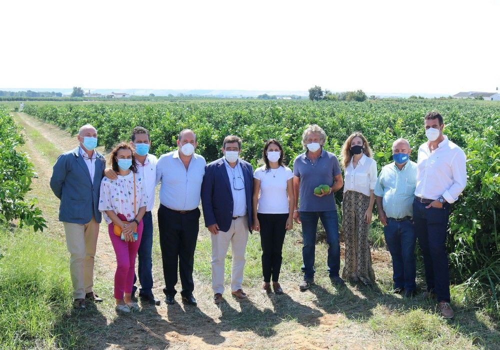 Andalucía producirá más de 2,4 millones de toneladas de cítricos en la campaña 2021-2022