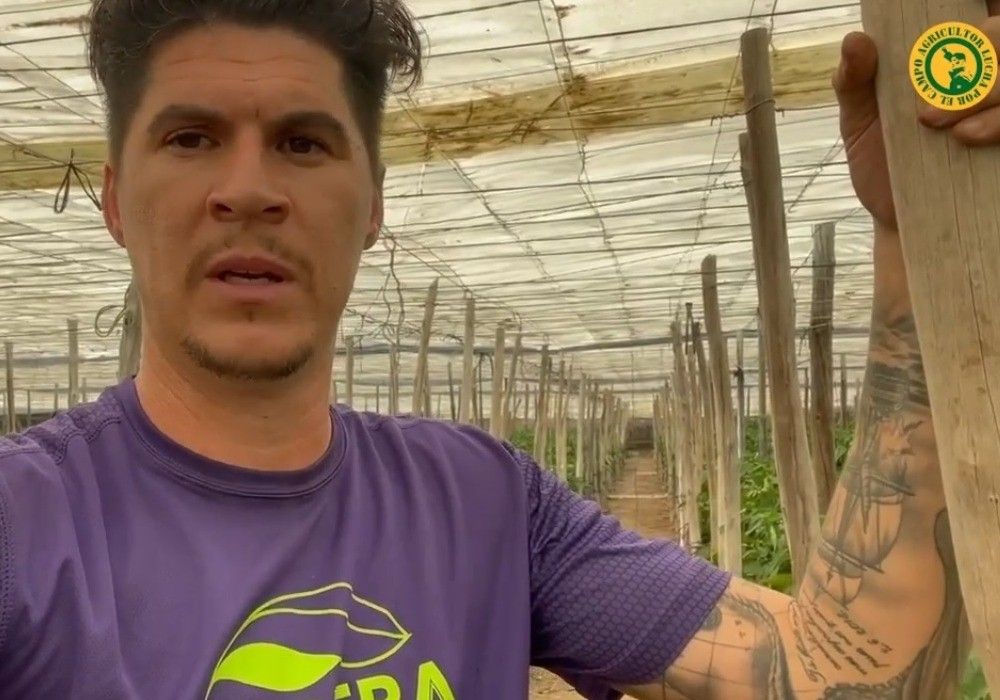 Bernabé agita las redes sociales por los pepinos a 10 céntimos y reclama apoyo para los agricultores de quienes lo criticaban