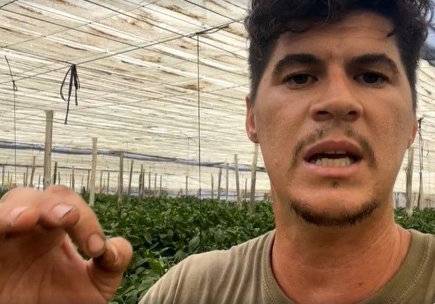Bernabé vuelve a la carga y anima a los agricultores a ir a la huelga: 'si tenemos que tirar nuestro producto, el que venga de fuera también, como en Francia'